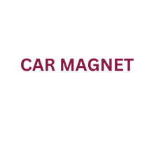 Load image into Gallery viewer, Car Magnets (set of 2)