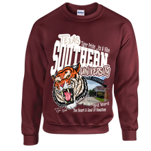 Load image into Gallery viewer, Texas Southern Grad Pics Pack (Stole &amp; Sweatshirt)
